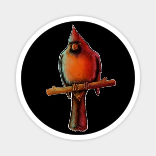 Red Cardinal Magnet